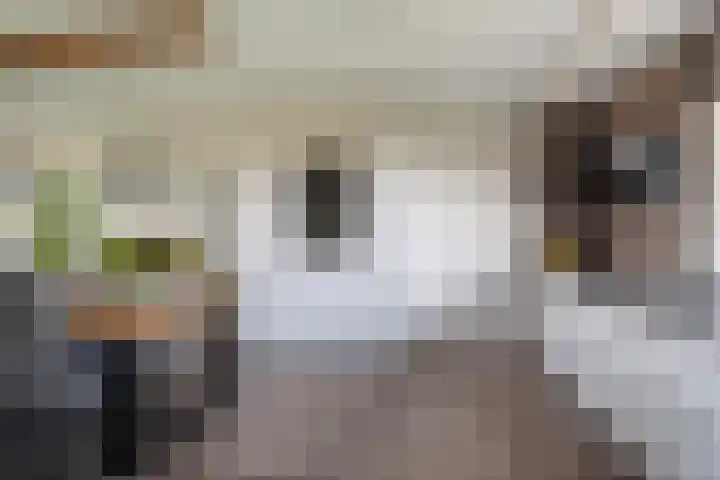 Holysingel 590 Vlaardingen thumbnail 17