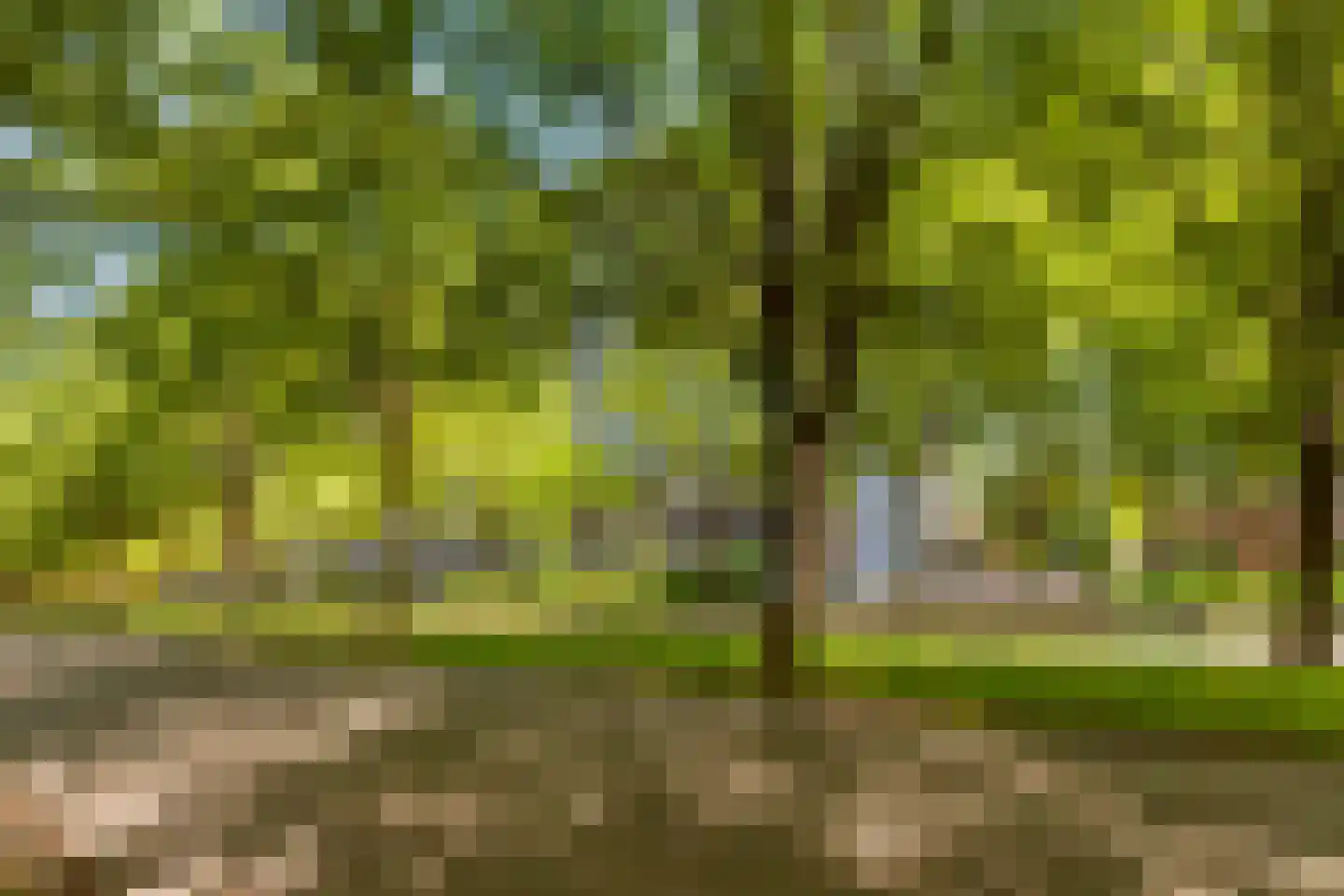 Holysingel 596 Vlaardingen thumbnail 38