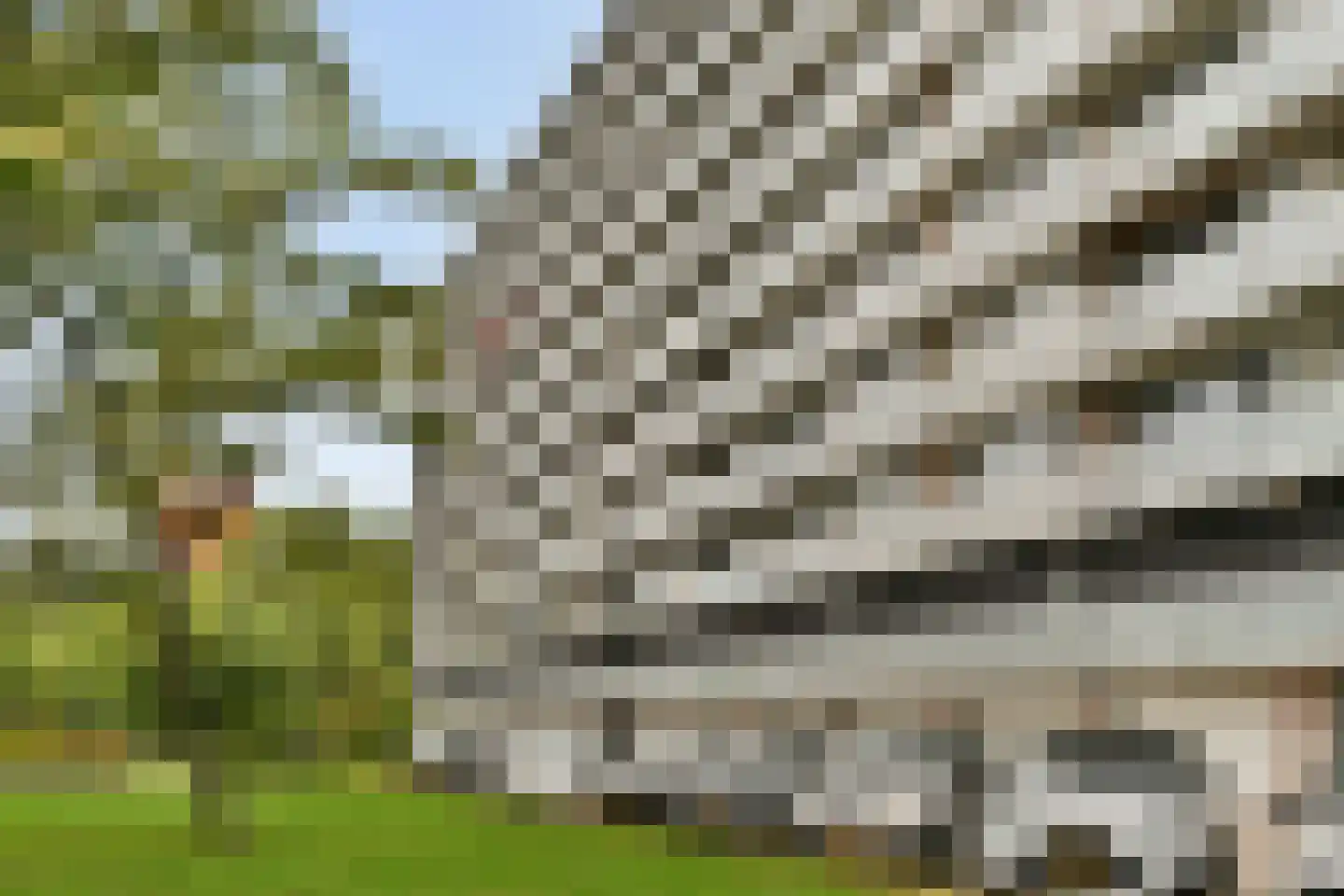 Holysingel 608 Vlaardingen thumbnail 6
