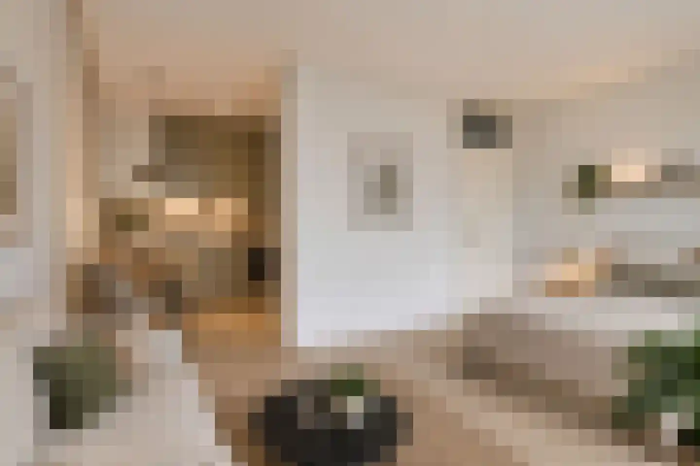 Holysingel 638 Vlaardingen thumbnail 4