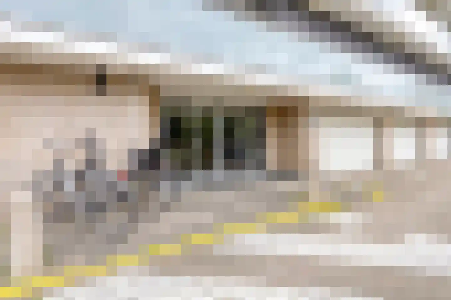 Holysingel 638 Vlaardingen thumbnail 5