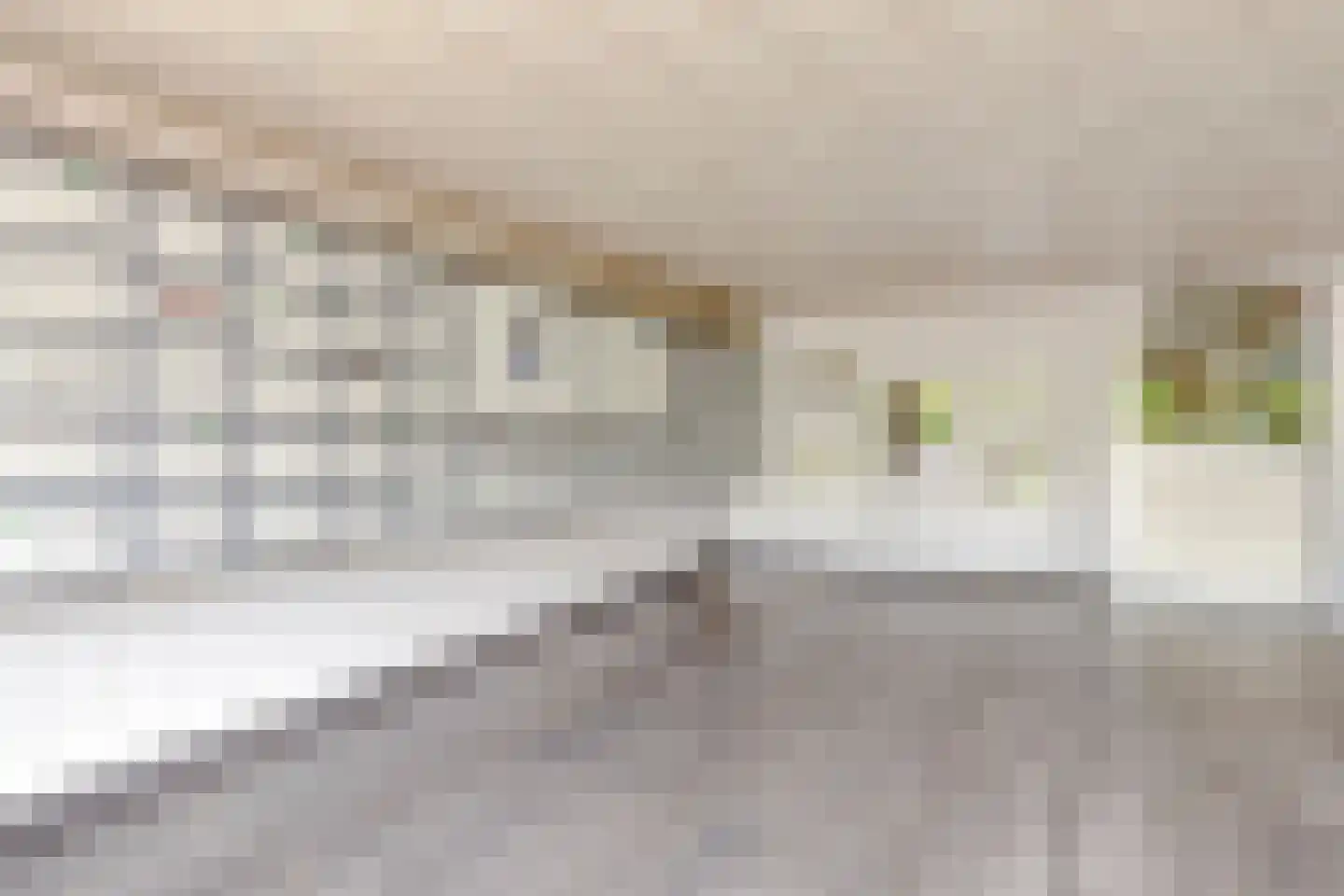 Holysingel 638 Vlaardingen thumbnail 6