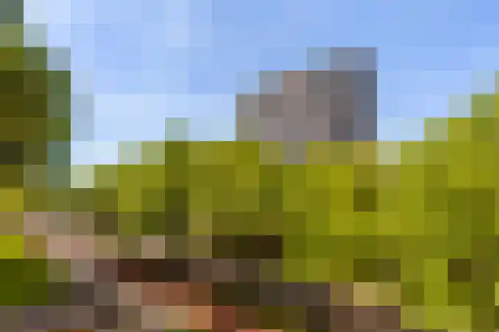 Holysingel 84 Vlaardingen thumbnail 13
