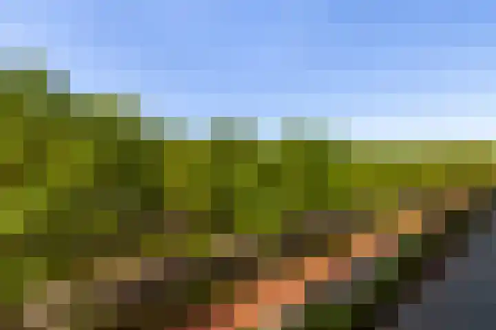 Holysingel 84 Vlaardingen thumbnail 14