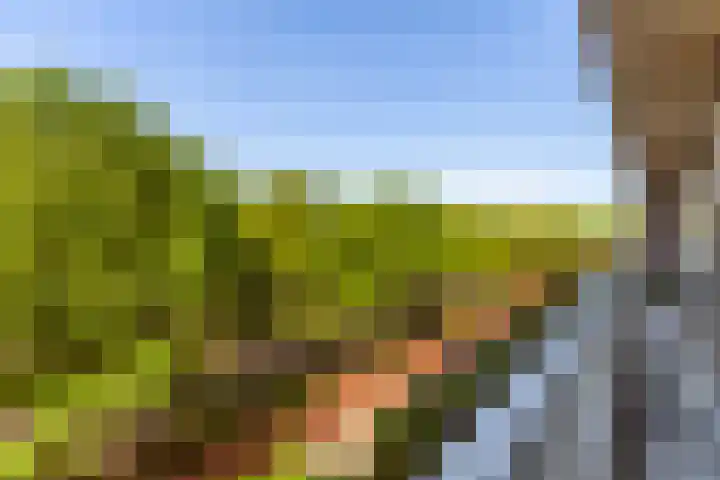 Holysingel 84 Vlaardingen thumbnail 15