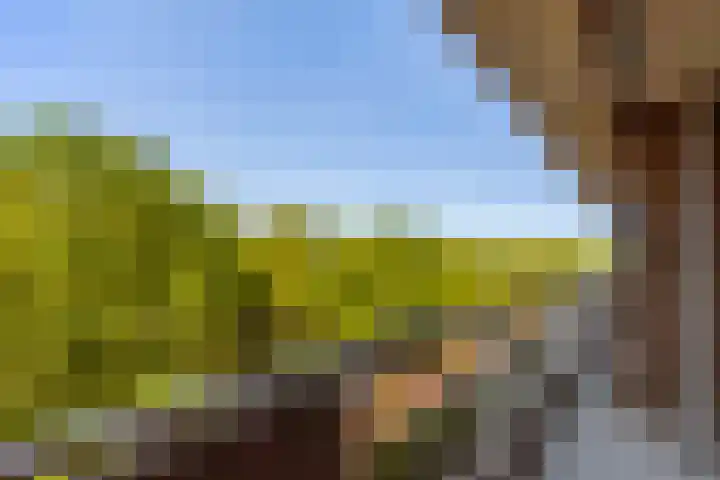 Holysingel 84 Vlaardingen thumbnail 16