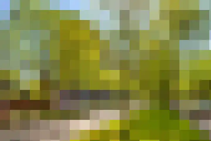 Holysingel 84 Vlaardingen thumbnail 4