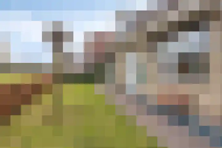 Holzik Es 21 Enschede thumbnail 10