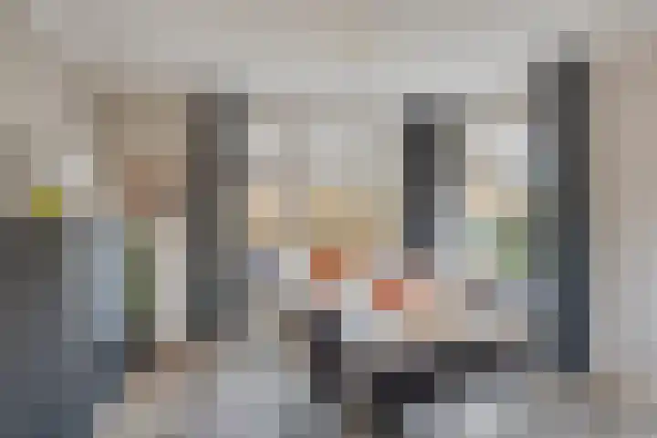 Holzik Es 21 Enschede thumbnail 18