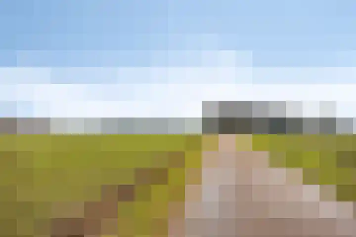 Holzik Es 21 Enschede thumbnail 63