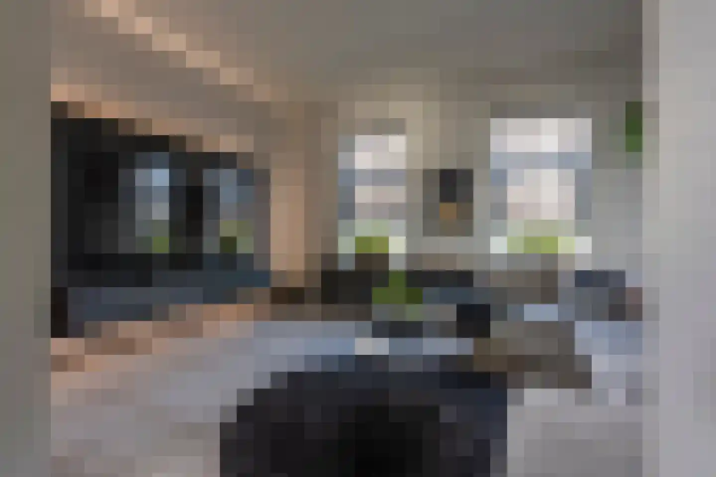 Holzstraat 12 Kerkrade thumbnail 4