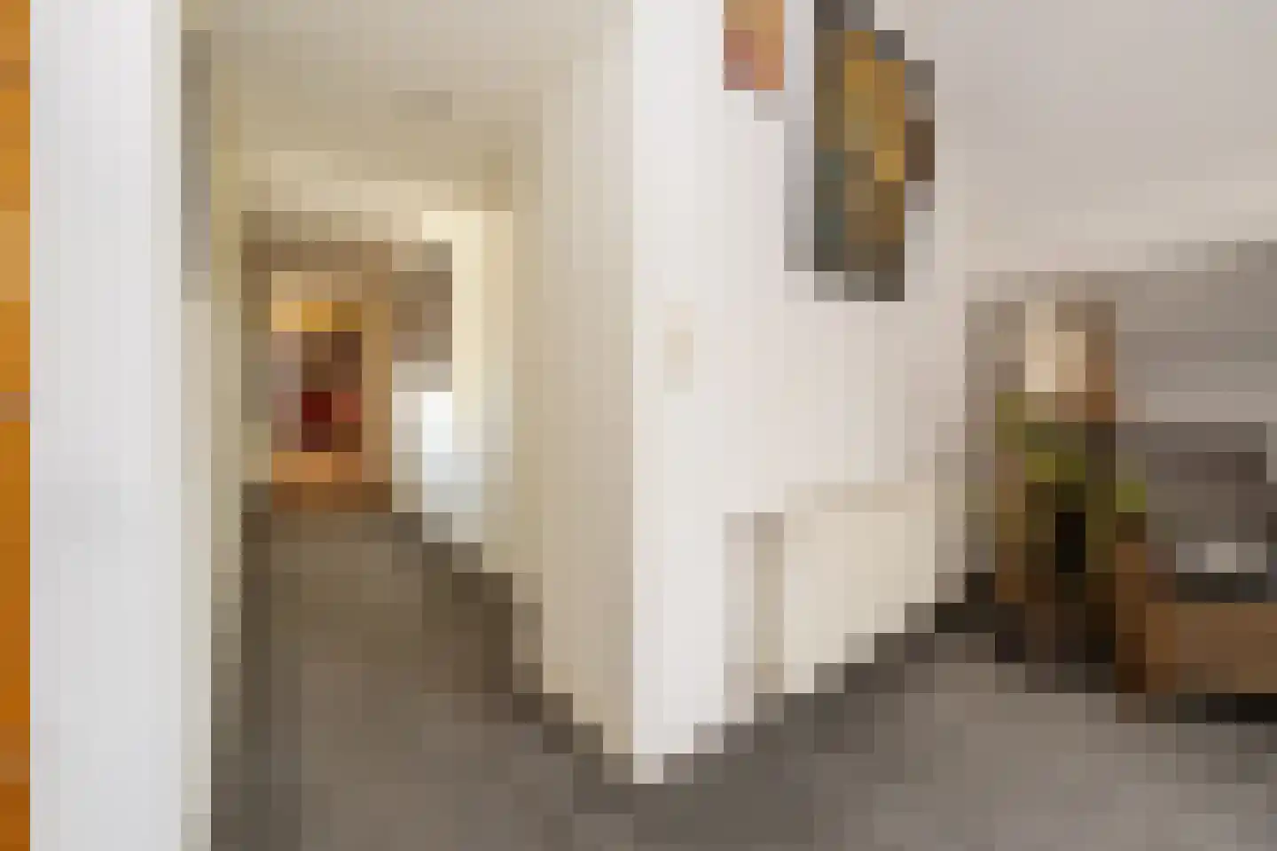 Holzstraat 144 A Kerkrade thumbnail 30