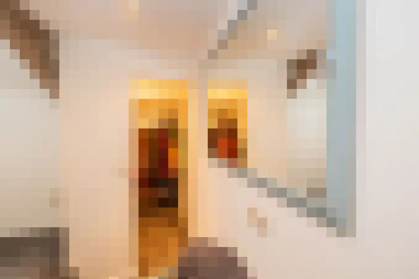 Holzstraat 144 A Kerkrade thumbnail 37
