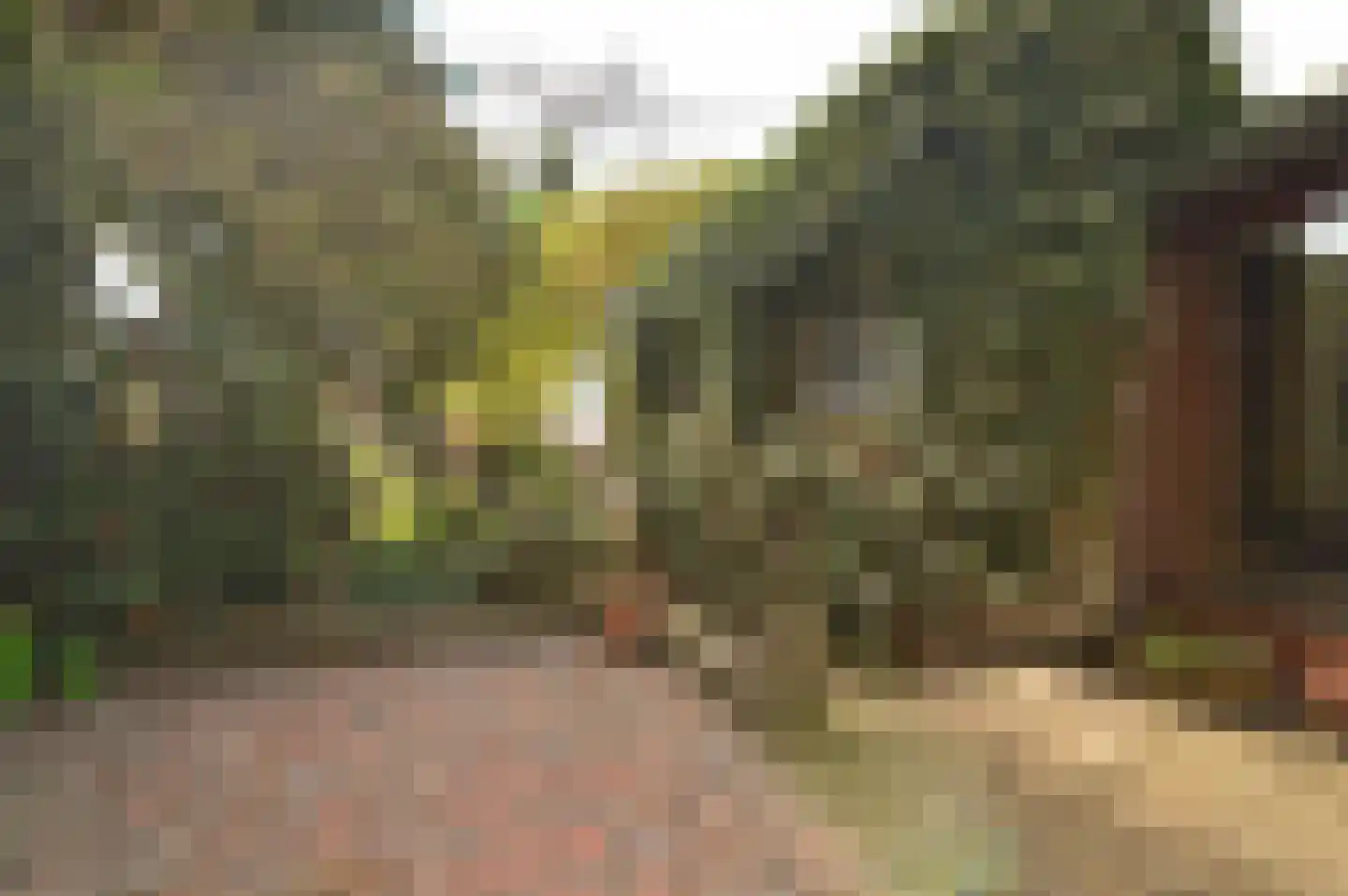 Holzstraat 18 Kerkrade thumbnail 30