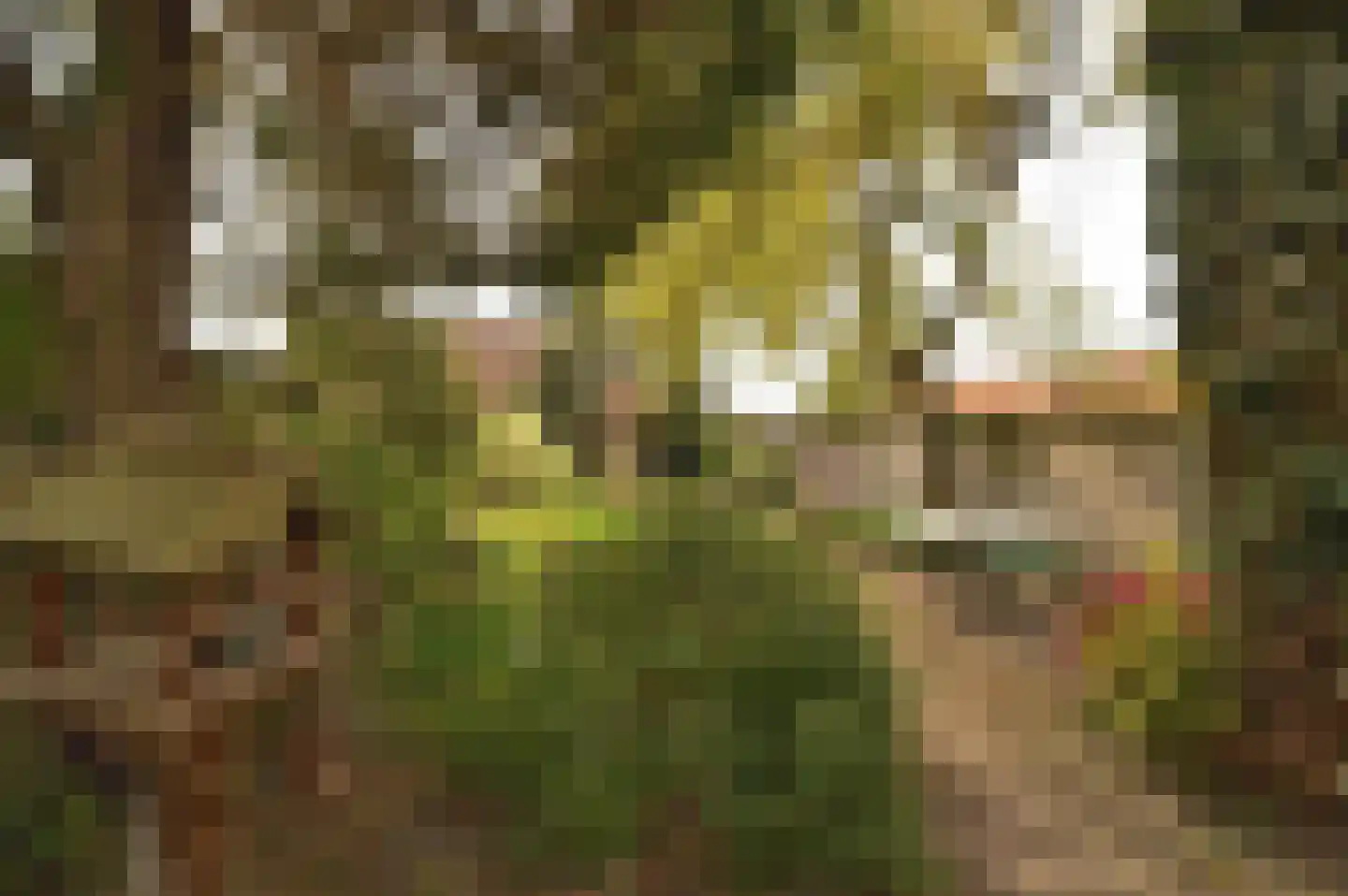 Holzstraat 18 Kerkrade thumbnail 31