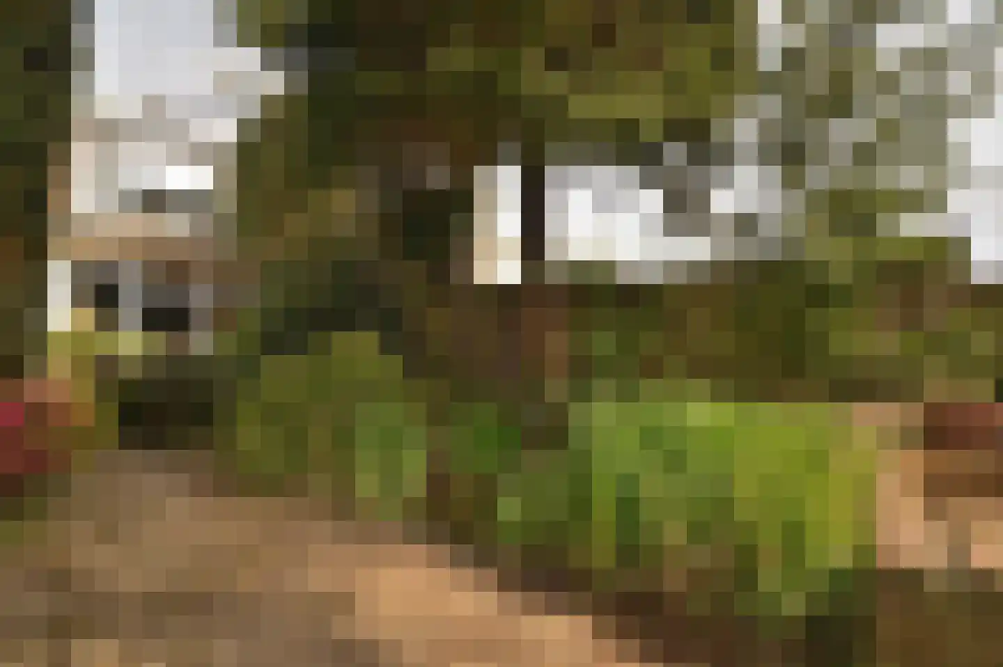 Holzstraat 18 Kerkrade thumbnail 32