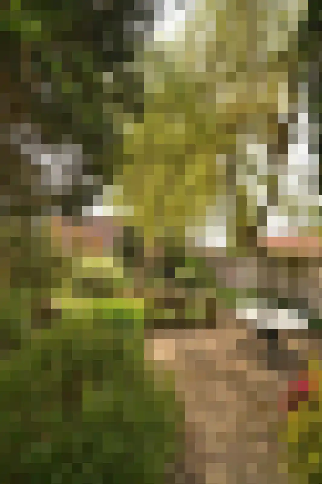 Holzstraat 18 Kerkrade thumbnail 33