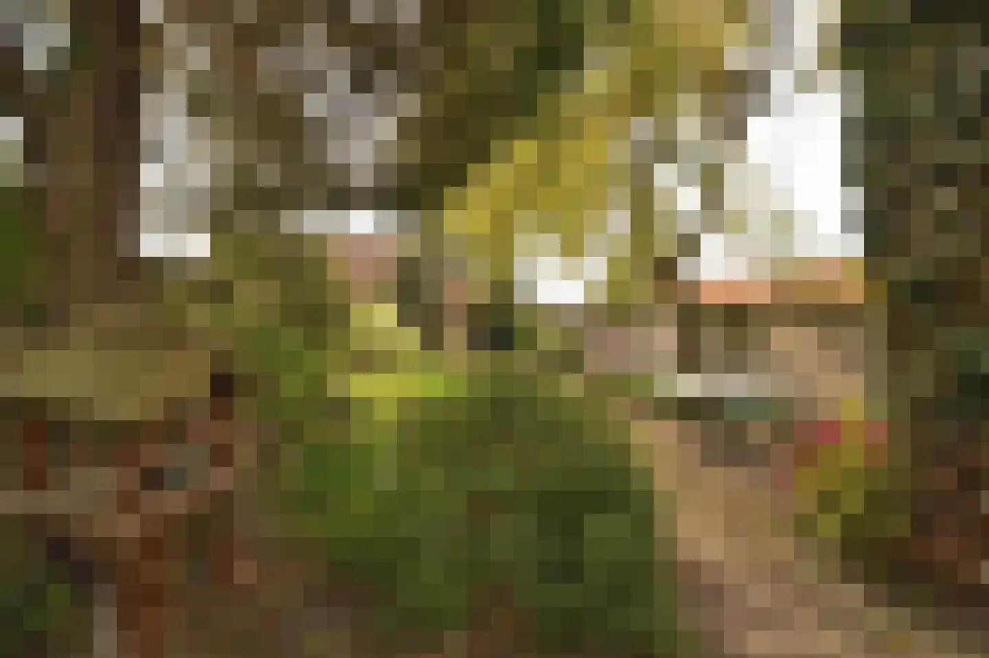 Holzstraat 18 Kerkrade thumbnail 33