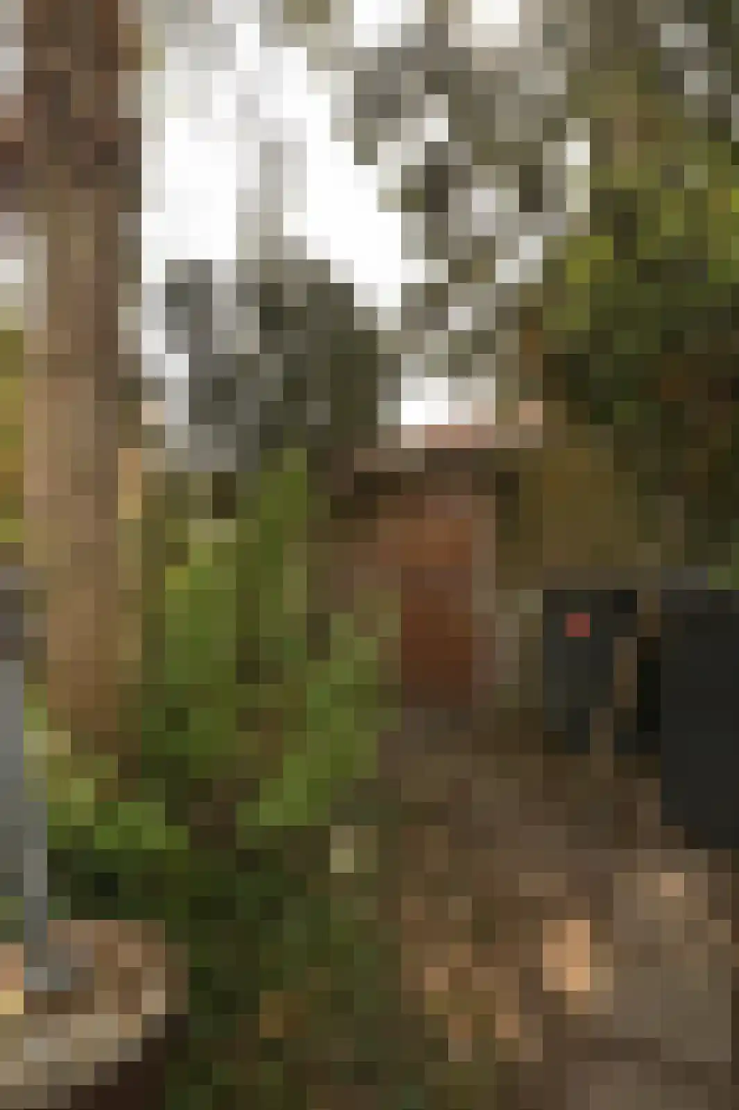 Holzstraat 18 Kerkrade thumbnail 34