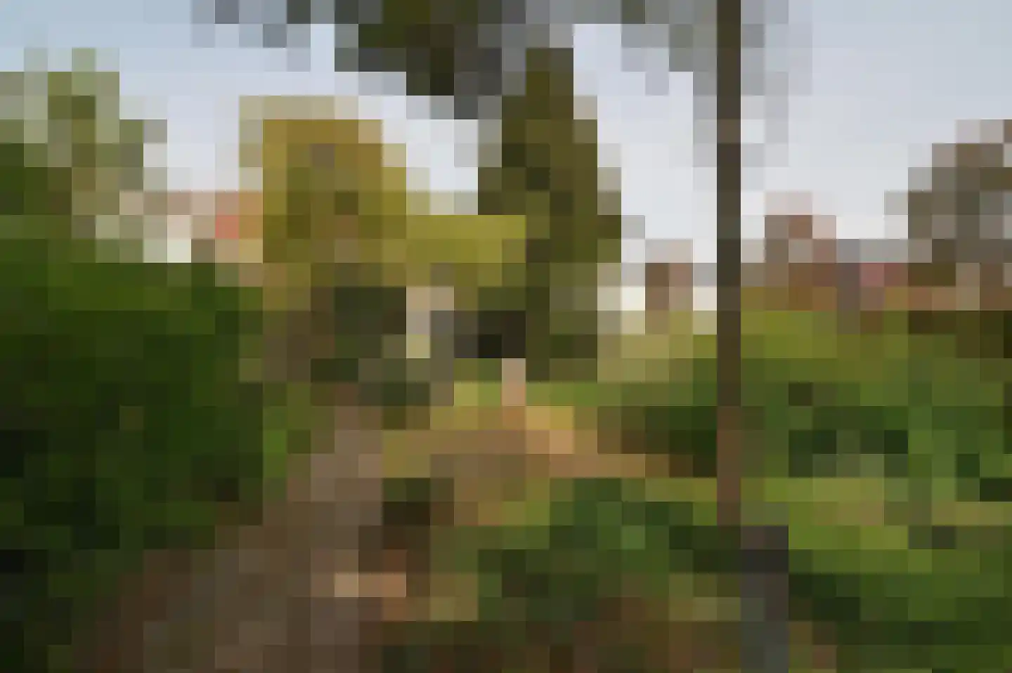 Holzstraat 18 Kerkrade thumbnail 35