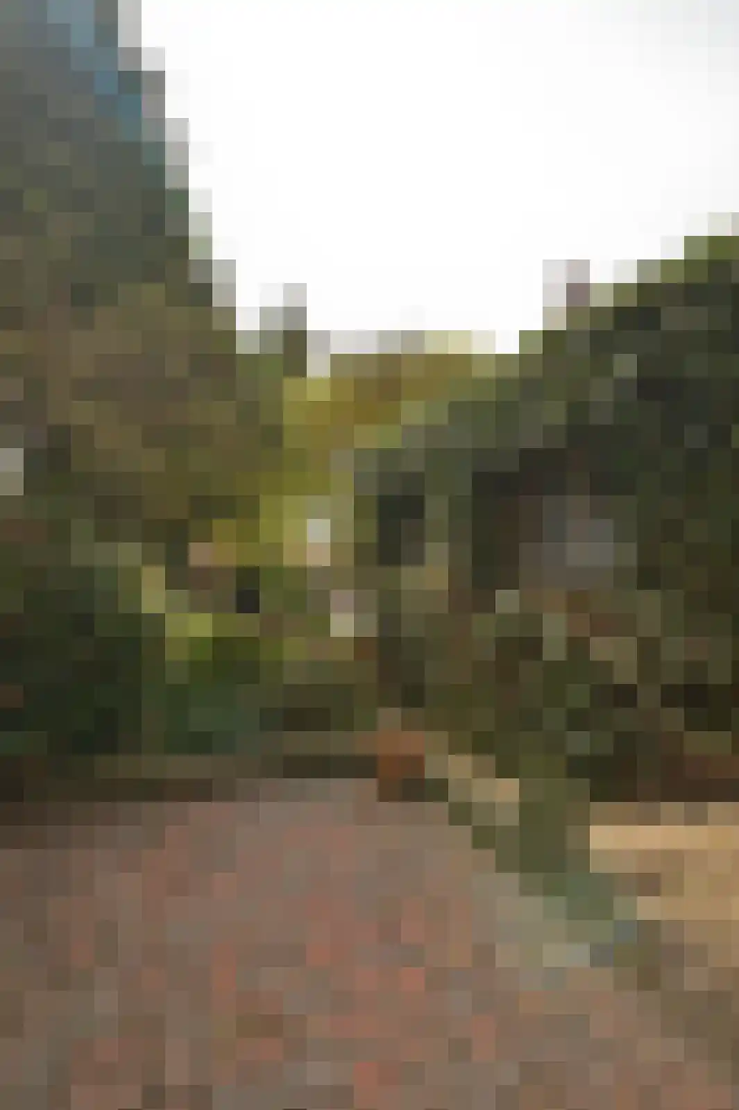 Holzstraat 18 Kerkrade thumbnail 36