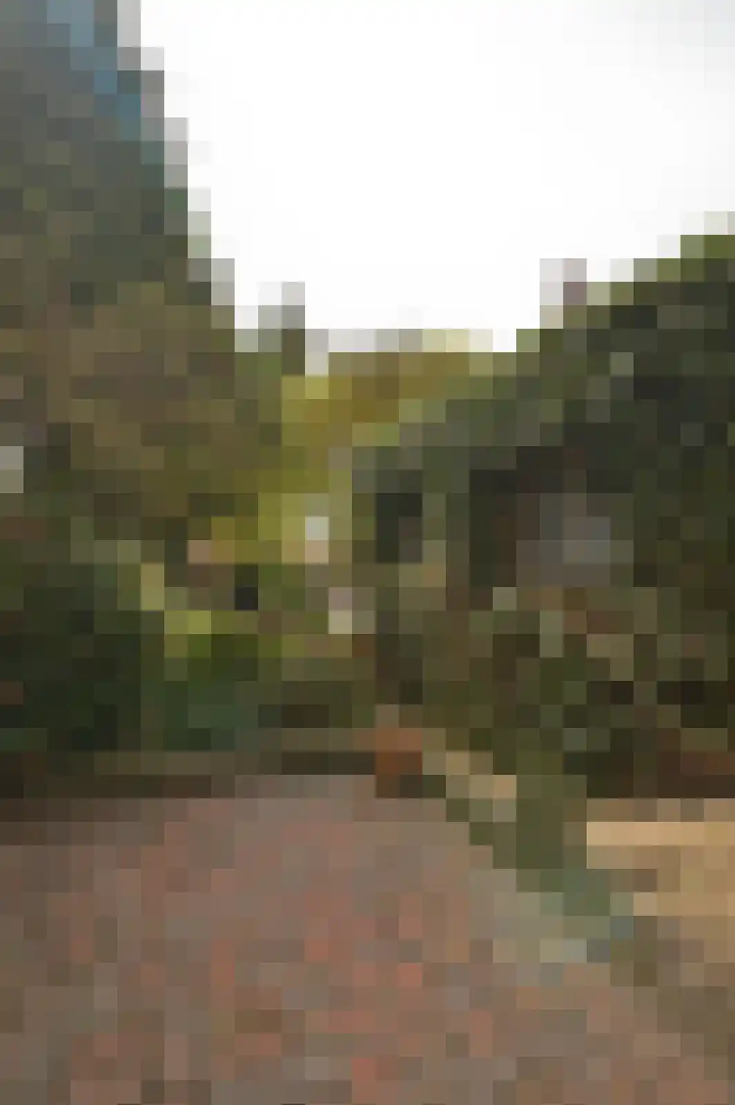 Holzstraat 18 Kerkrade thumbnail 37