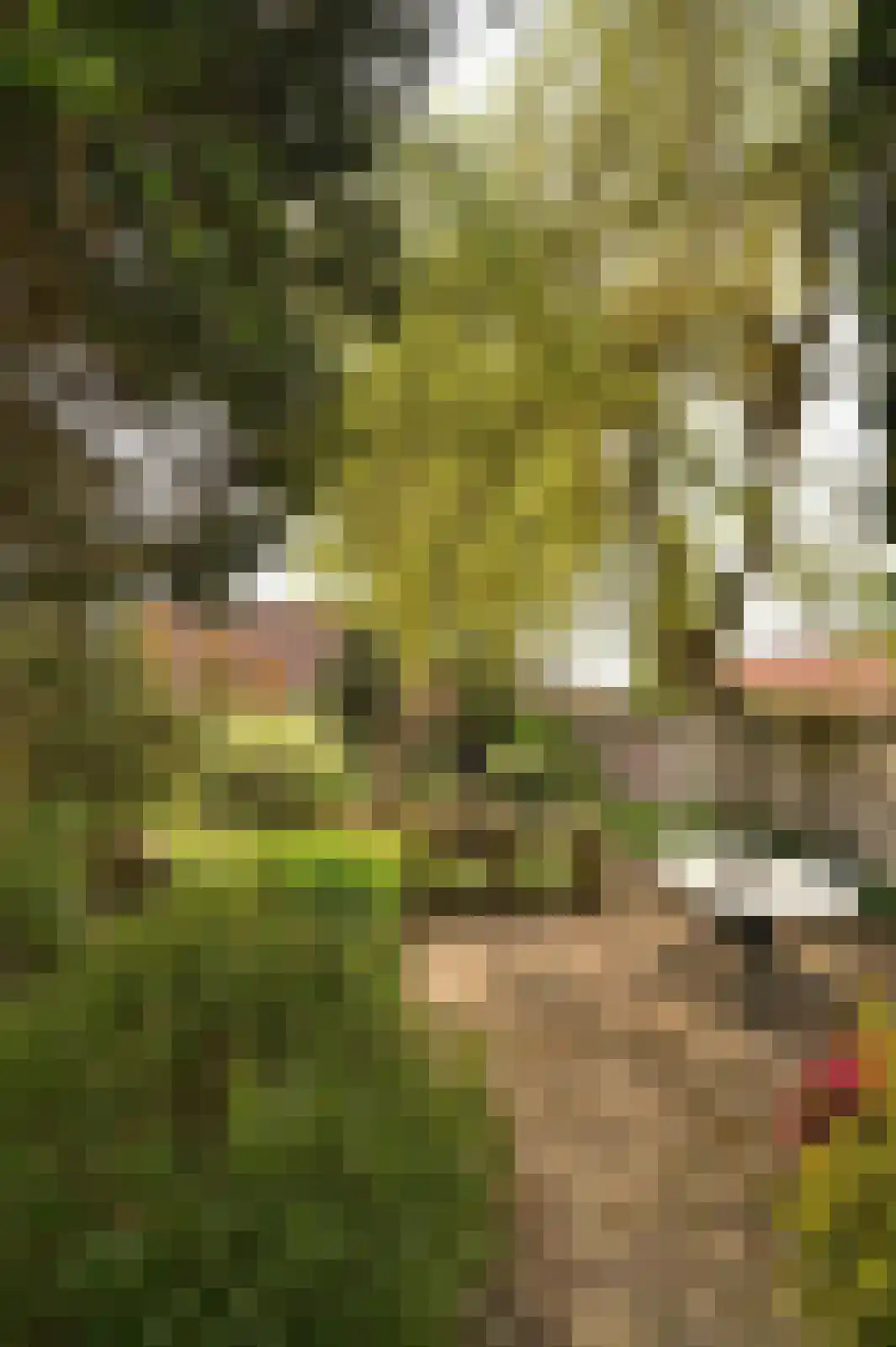 Holzstraat 18 Kerkrade thumbnail 5