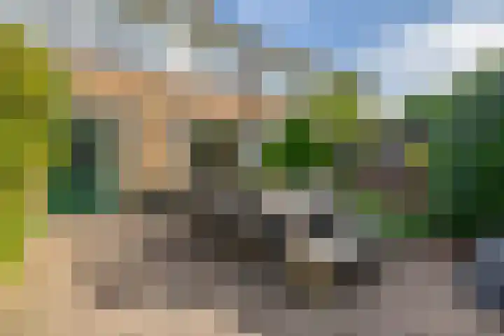 Holzstraat 26 Harderwijk thumbnail 15