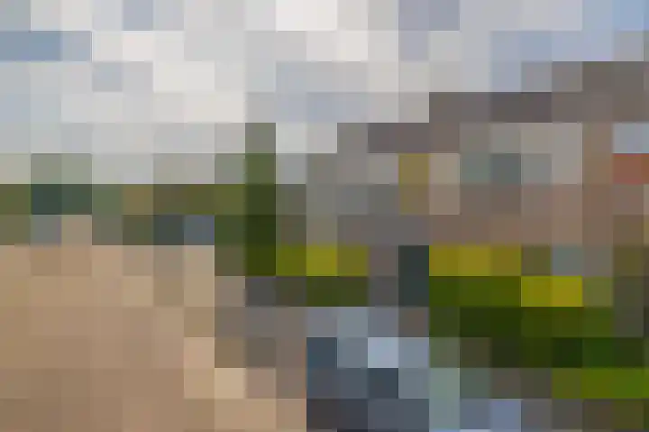 Holzstraat 26 Harderwijk thumbnail 20