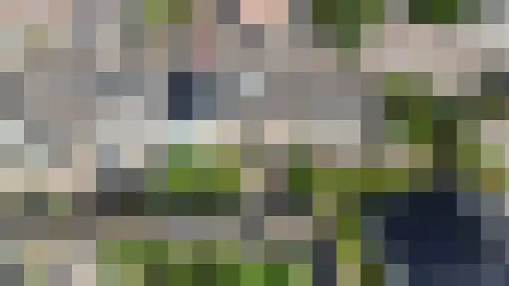 Holzstraat 26 Harderwijk thumbnail 22
