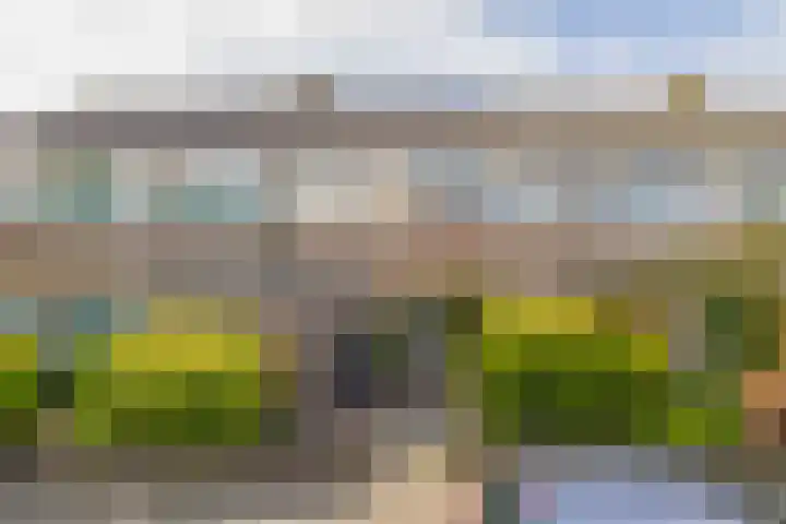 Holzstraat 26 Harderwijk thumbnail 29