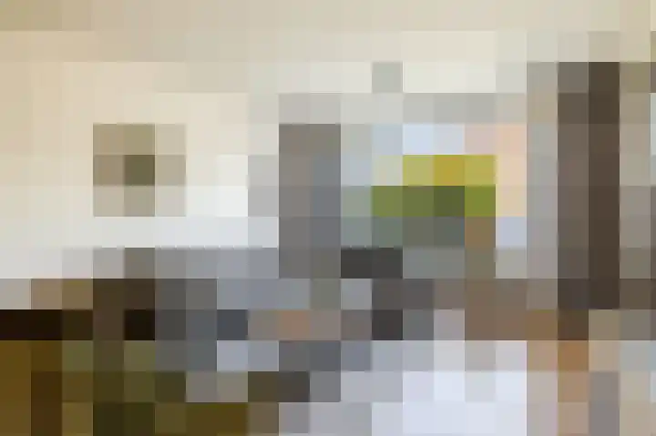 Holzstraat 26 Harderwijk thumbnail 5