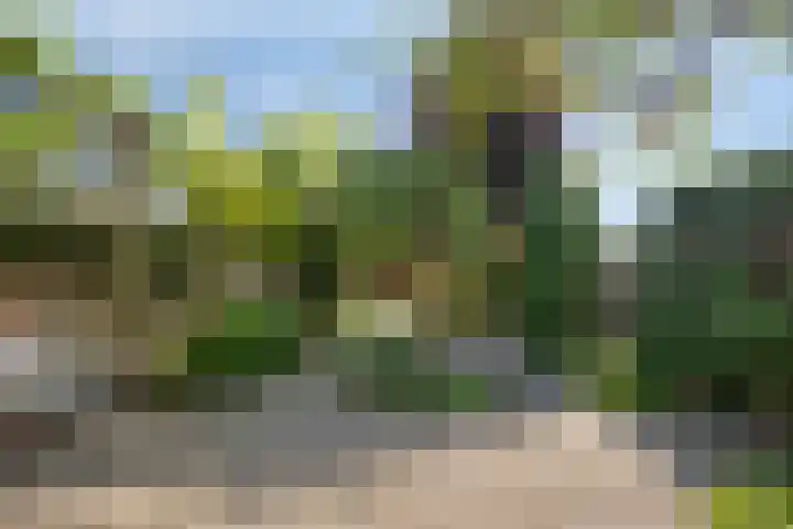 Holzstraat 34 Kerkrade thumbnail 23