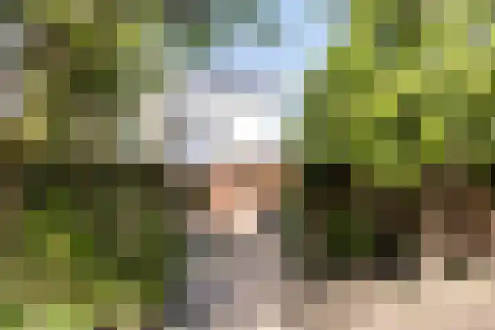 Holzstraat 34 Kerkrade thumbnail 24