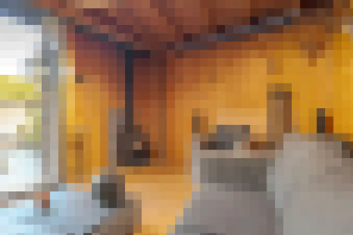 Homaat 14 Westerbork thumbnail 46