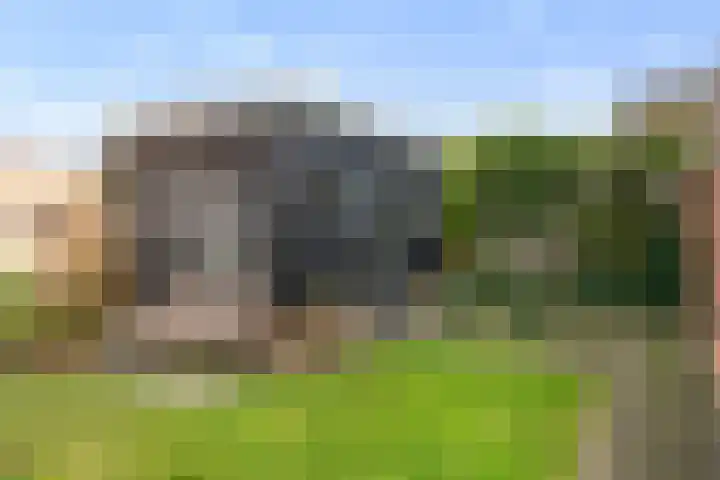 Homaat 17 Westerbork thumbnail 34