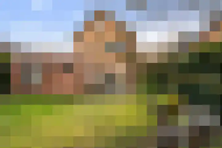 Homaat 17 Westerbork thumbnail 35