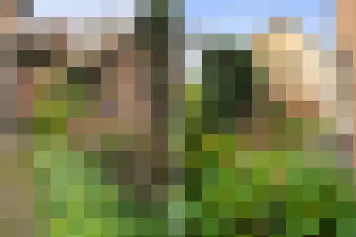 Homaat 17 Westerbork thumbnail 36