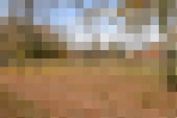 Homaat 17 Westerbork thumbnail 39