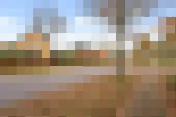 Homaat 17 Westerbork thumbnail 4