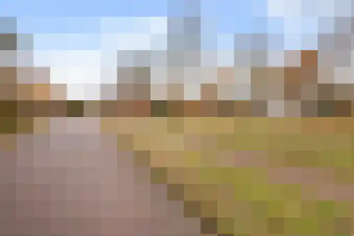 Homaat 17 Westerbork thumbnail 40