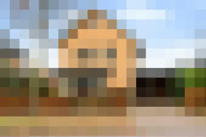 Homaat 17 Westerbork thumbnail 5