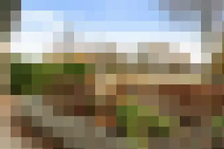 Homaat 17 Westerbork thumbnail 6