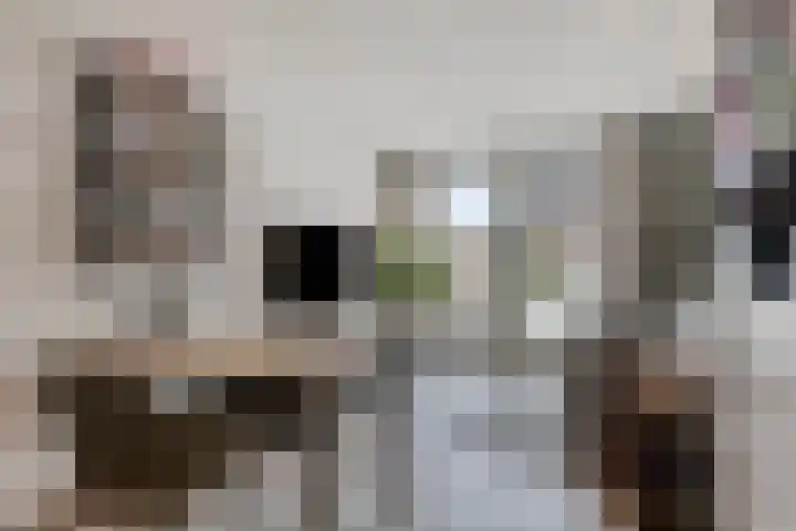 Homberg 1301 Wijchen thumbnail 15