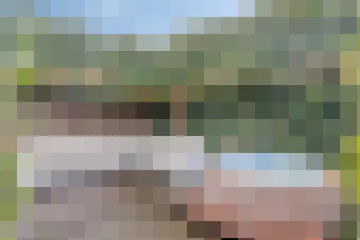 Homberg 1301 Wijchen thumbnail 36
