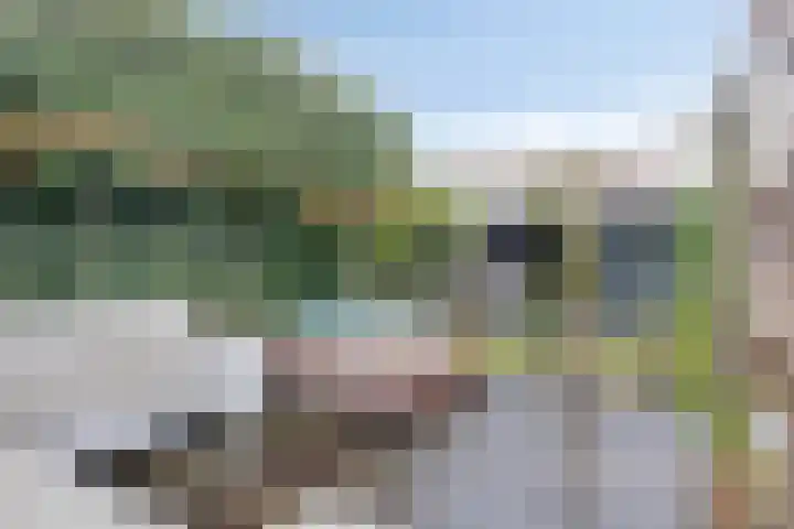 Homberg 1301 Wijchen thumbnail 37