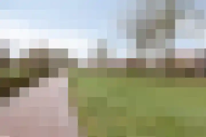 Homberg 1301 Wijchen thumbnail 41