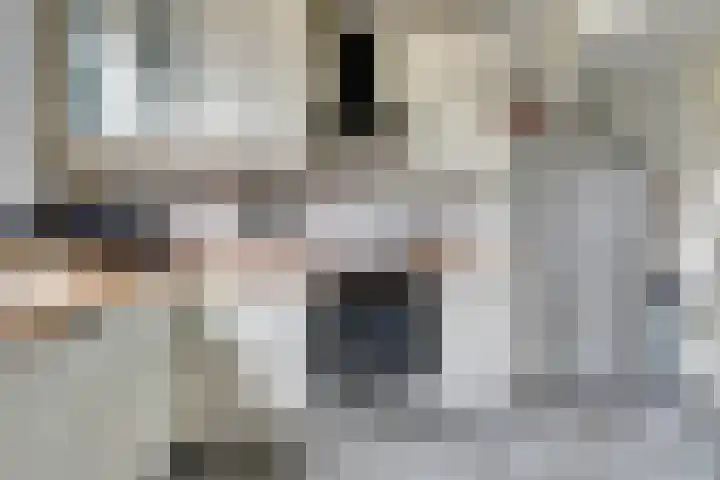 Homberg 1559 Wijchen thumbnail 12