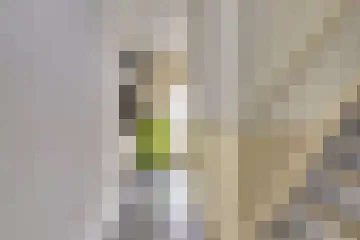 Homberg 1559 Wijchen thumbnail 15