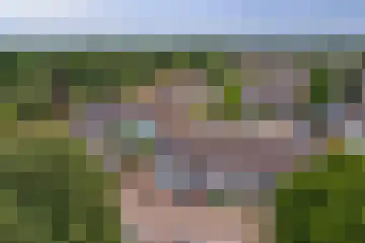 Homberg 1559 Wijchen thumbnail 38